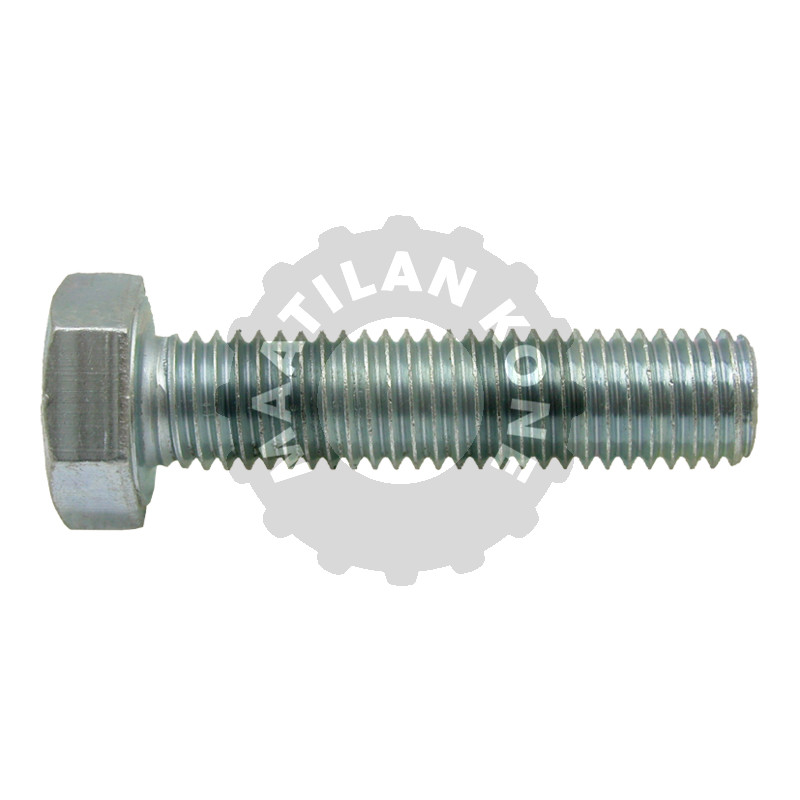 Hexagon head bolt