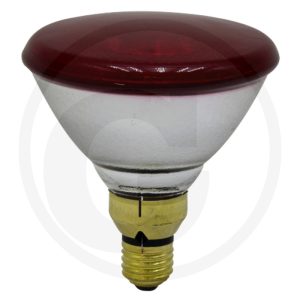 Infrapunavalon polttimo