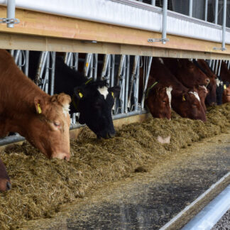 ERT-Agri visiiriruokintapöytä